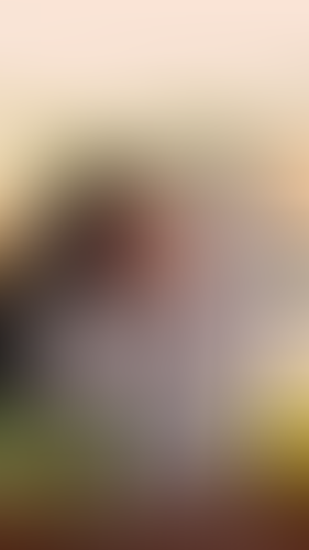 Geblurrte Content-Vorschau