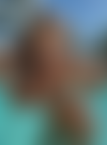 Geblurrte Content-Vorschau