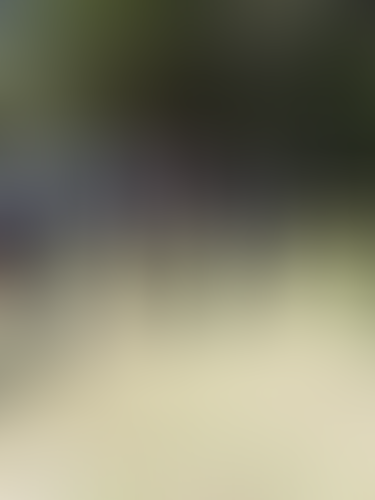 Geblurrte Content-Vorschau