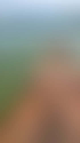 Geblurrte Content-Vorschau