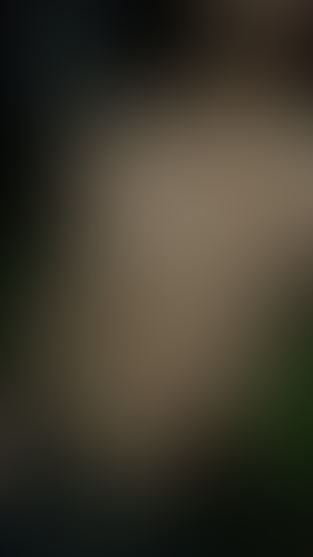 Geblurrte Content-Vorschau