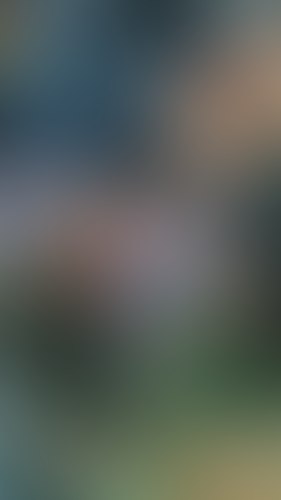 Geblurrte Content-Vorschau