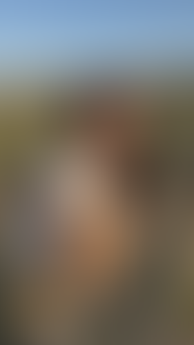Geblurrte Content-Vorschau