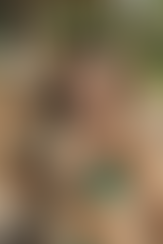 Geblurrte Content-Vorschau