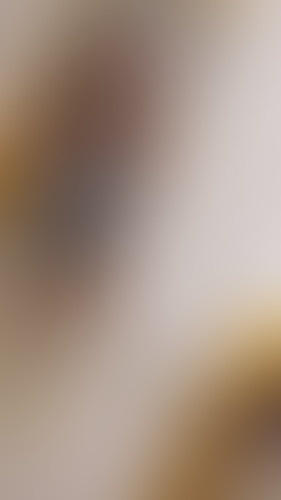Geblurrte Content-Vorschau