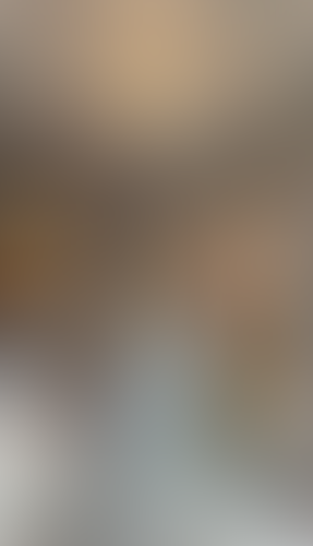 Geblurrte Content-Vorschau