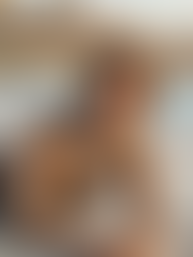 Geblurrte Content-Vorschau
