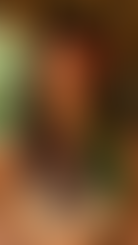 Geblurrte Content-Vorschau