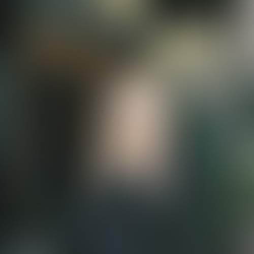 Geblurrte Content-Vorschau
