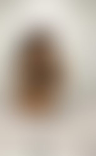 Geblurrte Content-Vorschau