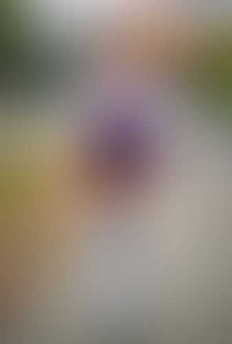 Geblurrte Content-Vorschau