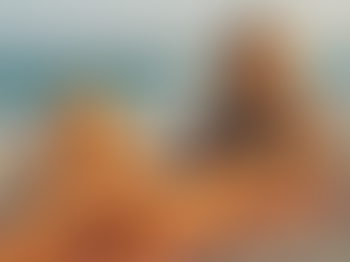 Geblurrte Content-Vorschau