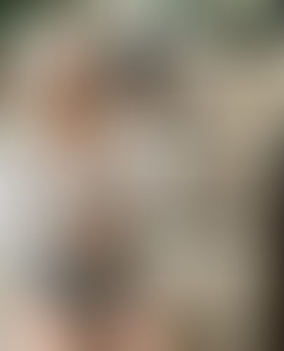 Blurred content preview