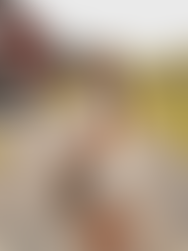 Blurred content preview
