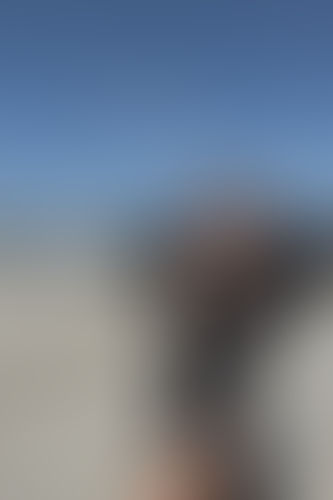 Geblurrte Content-Vorschau