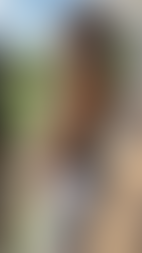 Geblurrte Content-Vorschau