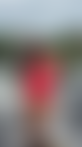 Geblurrte Content-Vorschau