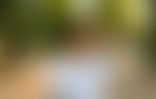 Blurred content preview