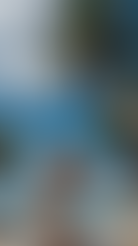 Blurred content preview