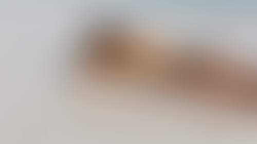 Geblurrte Content-Vorschau