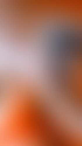 Geblurrte Content-Vorschau