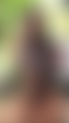 Geblurrte Content-Vorschau
