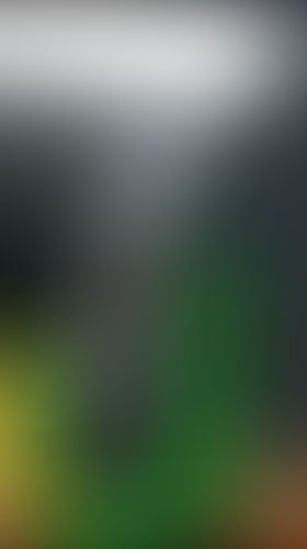 Geblurrte Content-Vorschau