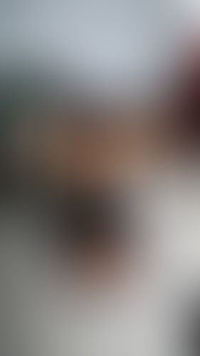 Geblurrte Content-Vorschau