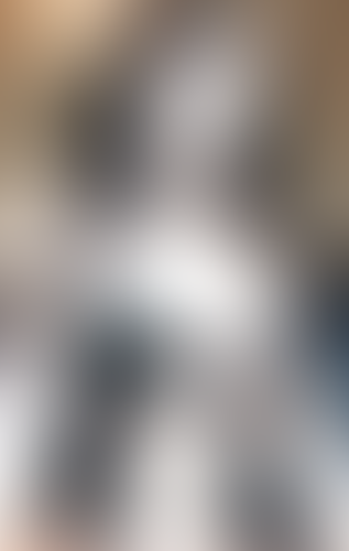 Blurred content preview