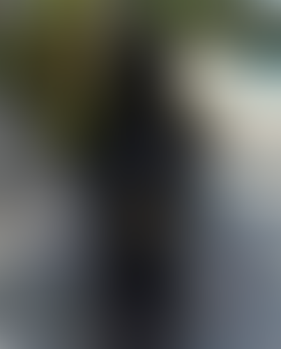 Geblurrte Content-Vorschau
