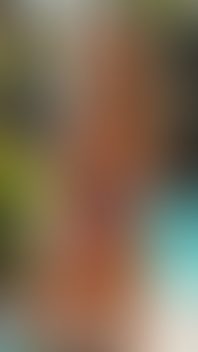 Geblurrte Content-Vorschau