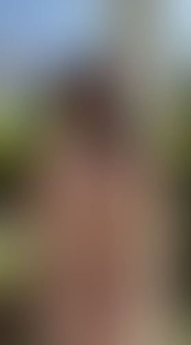 Geblurrte Content-Vorschau