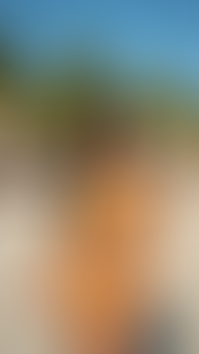 Blurred content preview