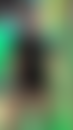 Geblurrte Content-Vorschau