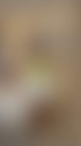 Geblurrte Content-Vorschau