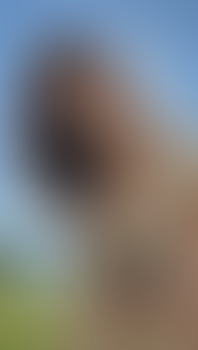 Geblurrte Content-Vorschau