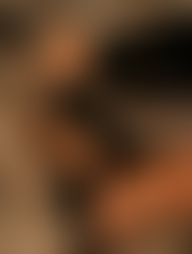 Geblurrte Content-Vorschau