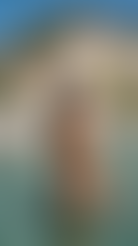Geblurrte Content-Vorschau