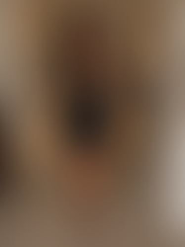 Geblurrte Content-Vorschau