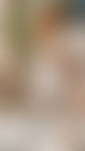 Geblurrte Content-Vorschau
