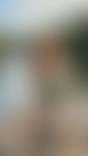 Geblurrte Content-Vorschau