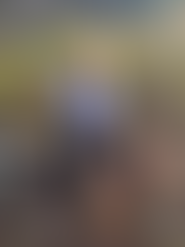 Geblurrte Content-Vorschau