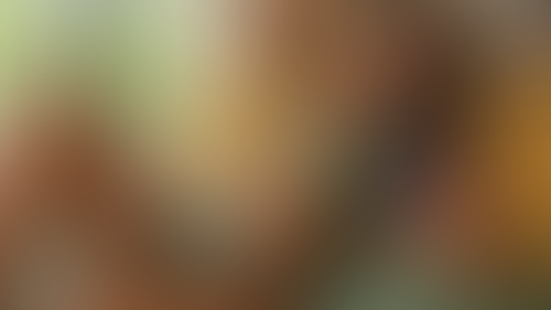 Geblurrte Content-Vorschau