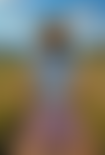 Geblurrte Content-Vorschau
