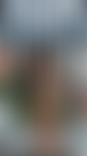 Geblurrte Content-Vorschau