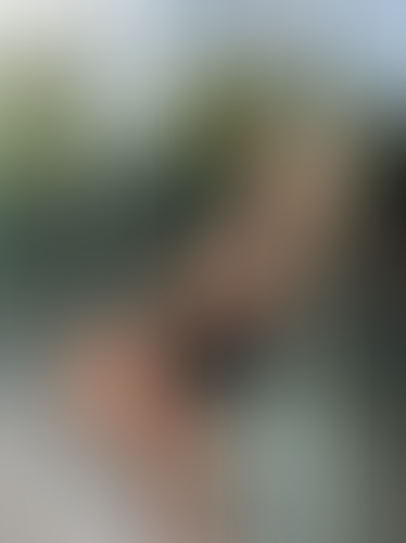 Geblurrte Content-Vorschau