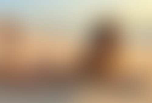 Blurred content preview