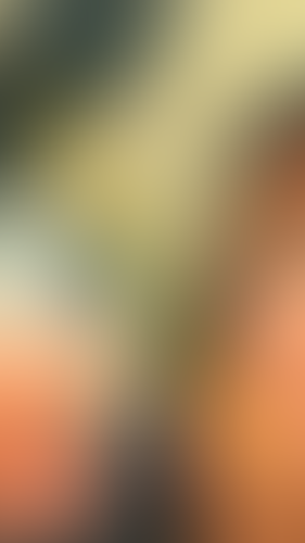 Geblurrte Content-Vorschau