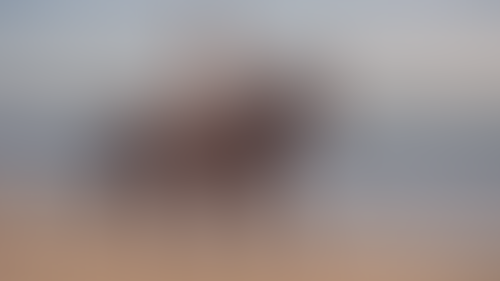 Geblurrte Content-Vorschau