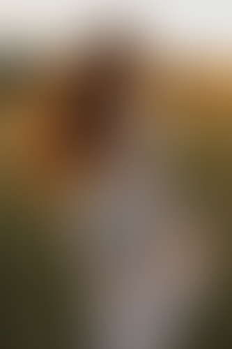 Geblurrte Content-Vorschau